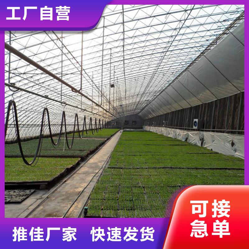 水產(chǎn)養(yǎng)殖大棚實(shí)力老廠