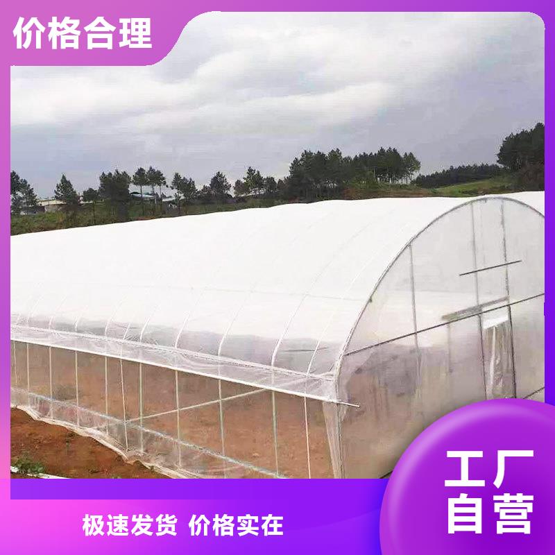 高縣西瓜大棚膜【修飾詞