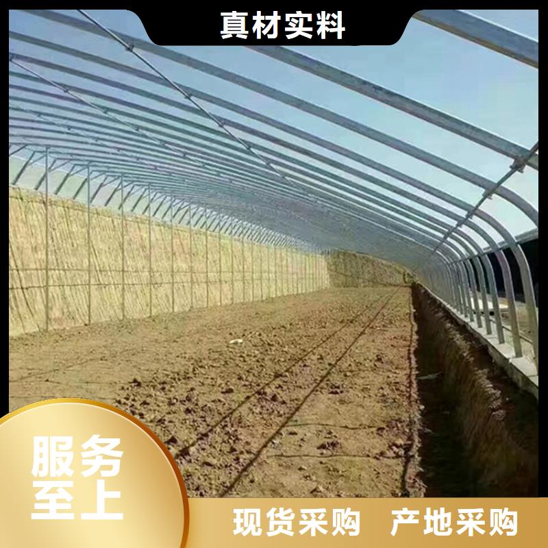 養(yǎng)殖大棚橢圓管品質(zhì)保證