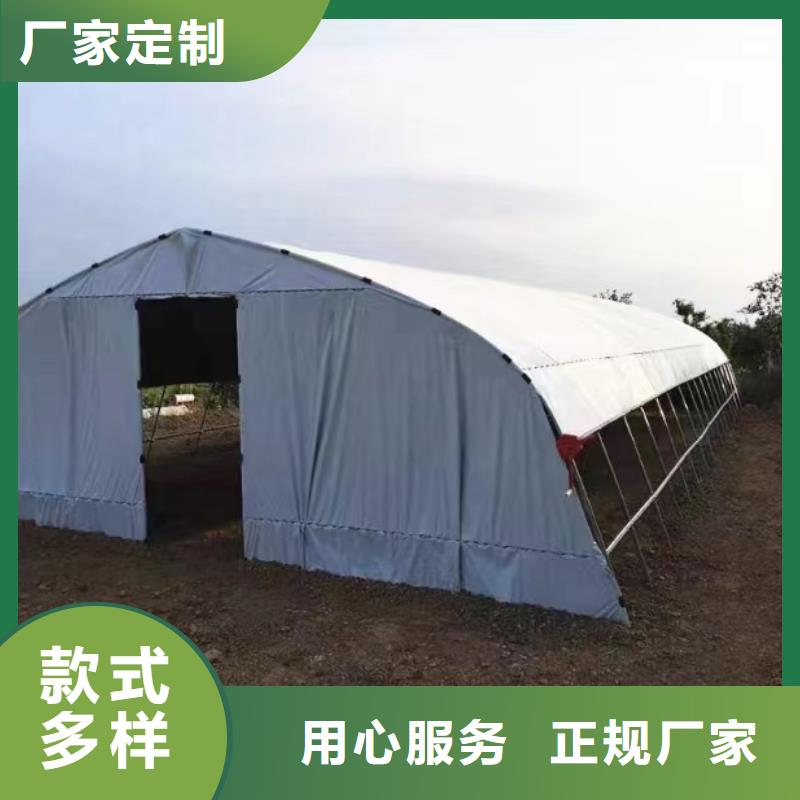 縣蔬菜大棚廠實(shí)力老廠