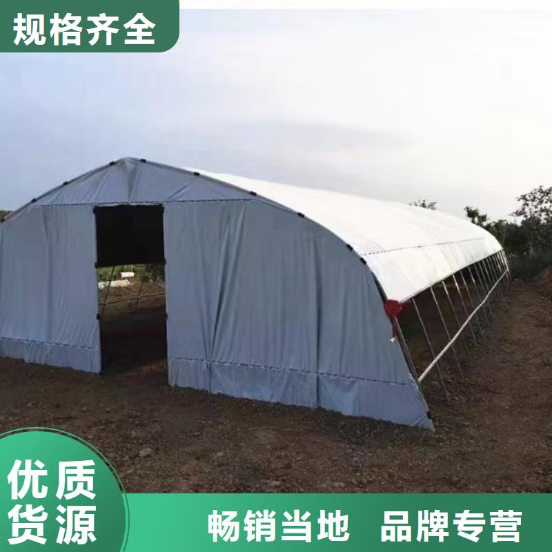 縣葡萄避雨大棚源頭廠家