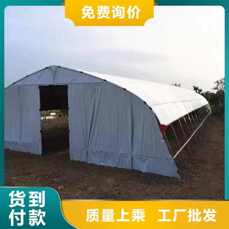 縣蔬菜大棚廠本地廠家