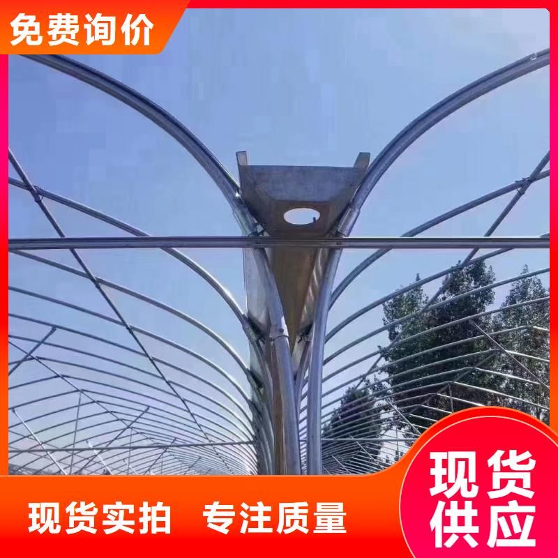 鄰水縣大棚鋼管廠家實力老廠