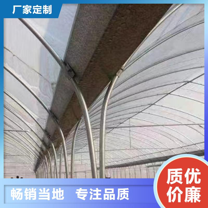 縣藍(lán)莓大棚鋼管品質(zhì)保障