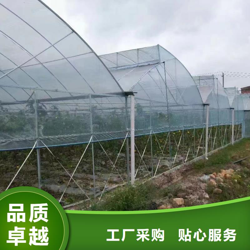 葡萄避雨大棚实力老厂