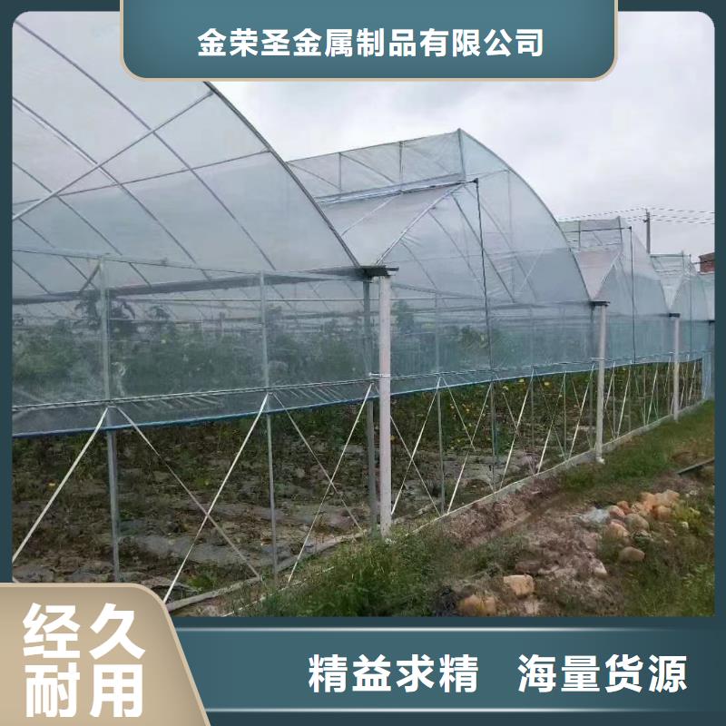 縣蔬菜大棚廠實(shí)力老廠