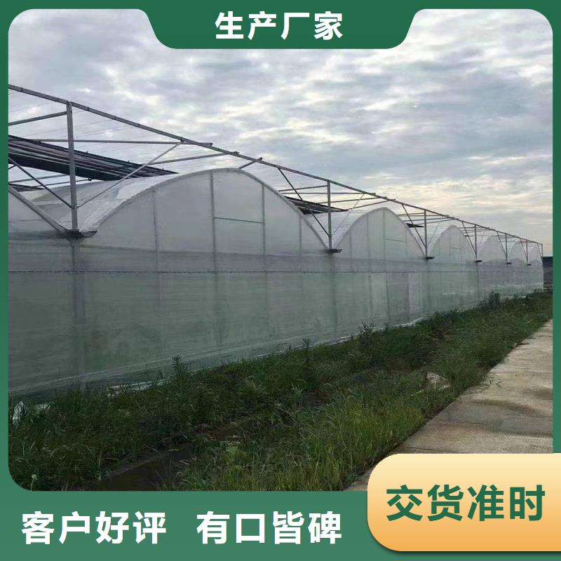 草莓大棚的跨度幾米生產(chǎn)基地
