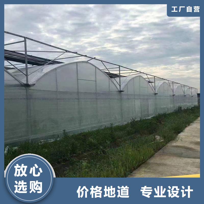 縣蔬菜大棚廠實(shí)力老廠