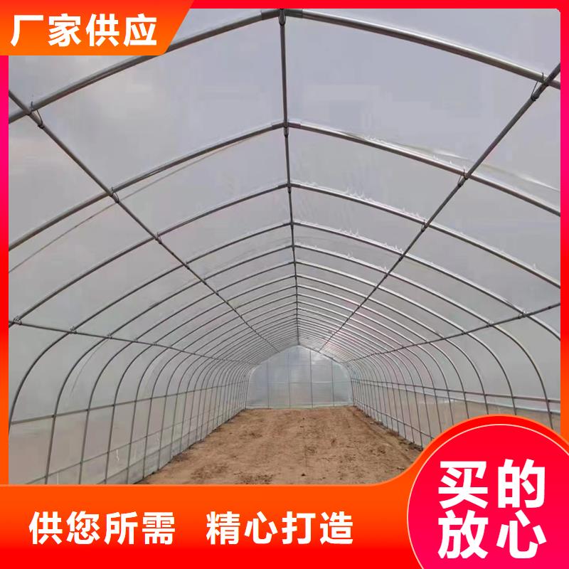 縣蔬菜大棚廠實(shí)力老廠