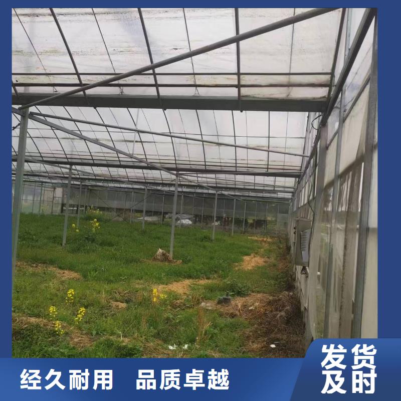 通风气楼厂家欢迎来电