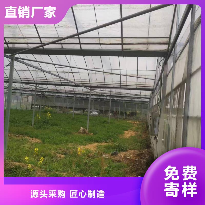 貞豐縣大棚精品薄膜采購(gòu)價(jià)格2025--境內(nèi)派發(fā)