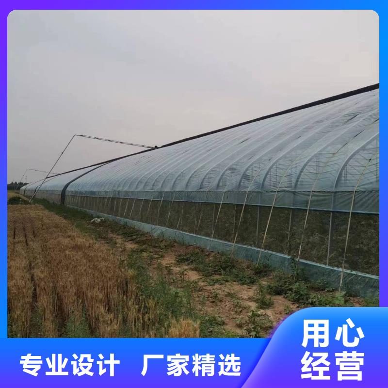 縣溫室大棚多少錢一平方靠譜廠家