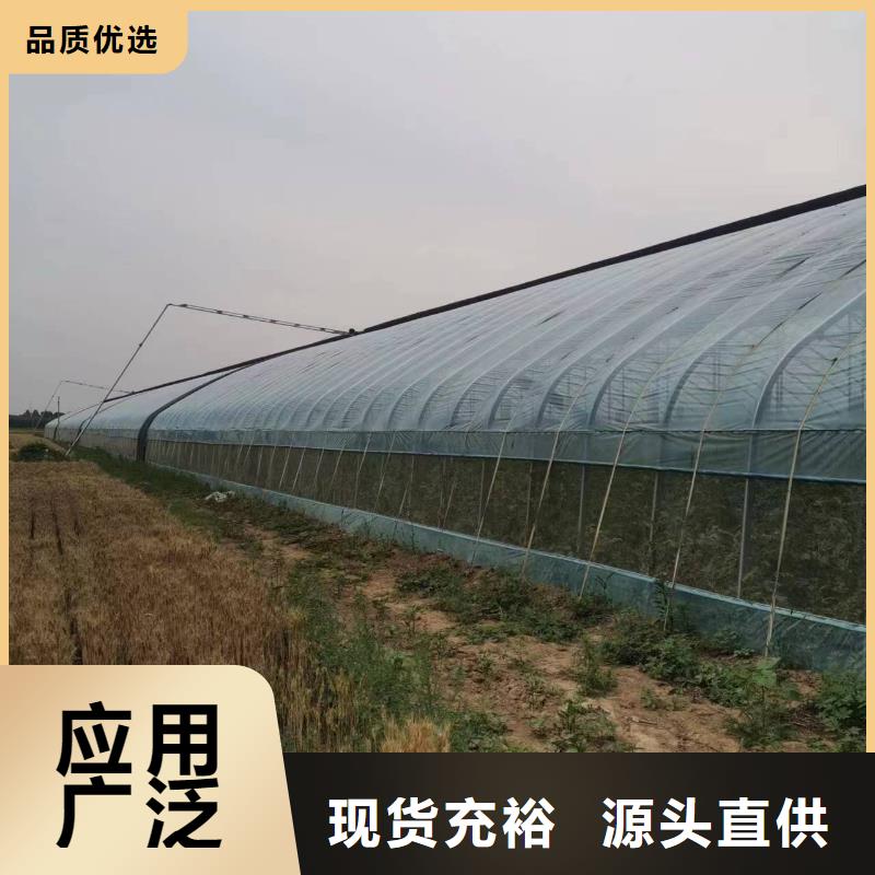 縣藍(lán)莓大棚鋼管品質(zhì)保障