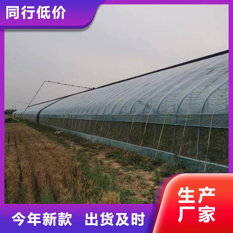 縣蔬菜大棚廠實(shí)力老廠