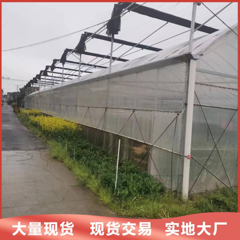 縣藍(lán)莓大棚鋼管品質(zhì)保障