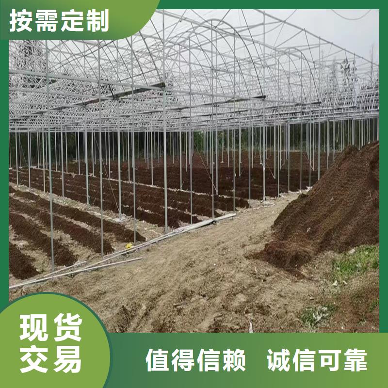 葡萄避雨大棚实力老厂
