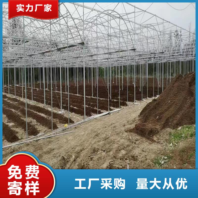 縣通風(fēng)氣樓大概多少錢一米生產(chǎn)廠家