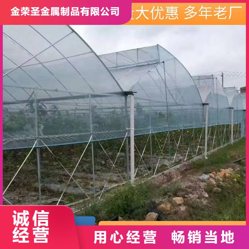 縣蔬菜大棚廠實(shí)力老廠