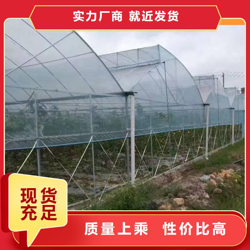 縣藍(lán)莓大棚鋼管品質(zhì)保障