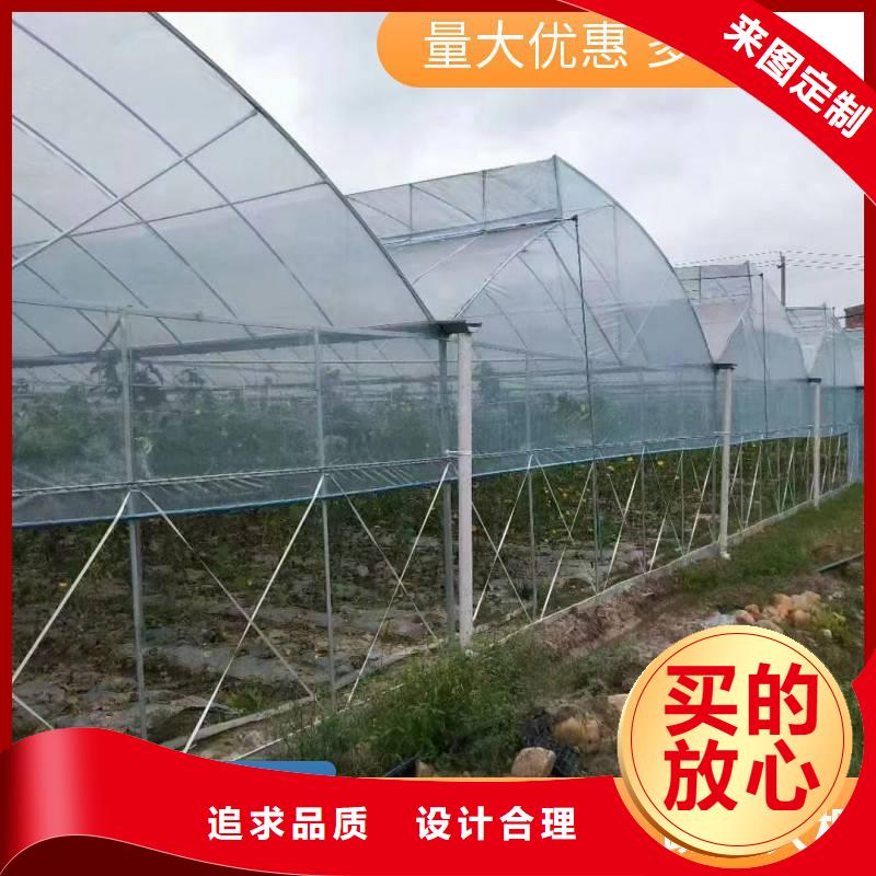 草莓大棚的跨度幾米生產(chǎn)基地