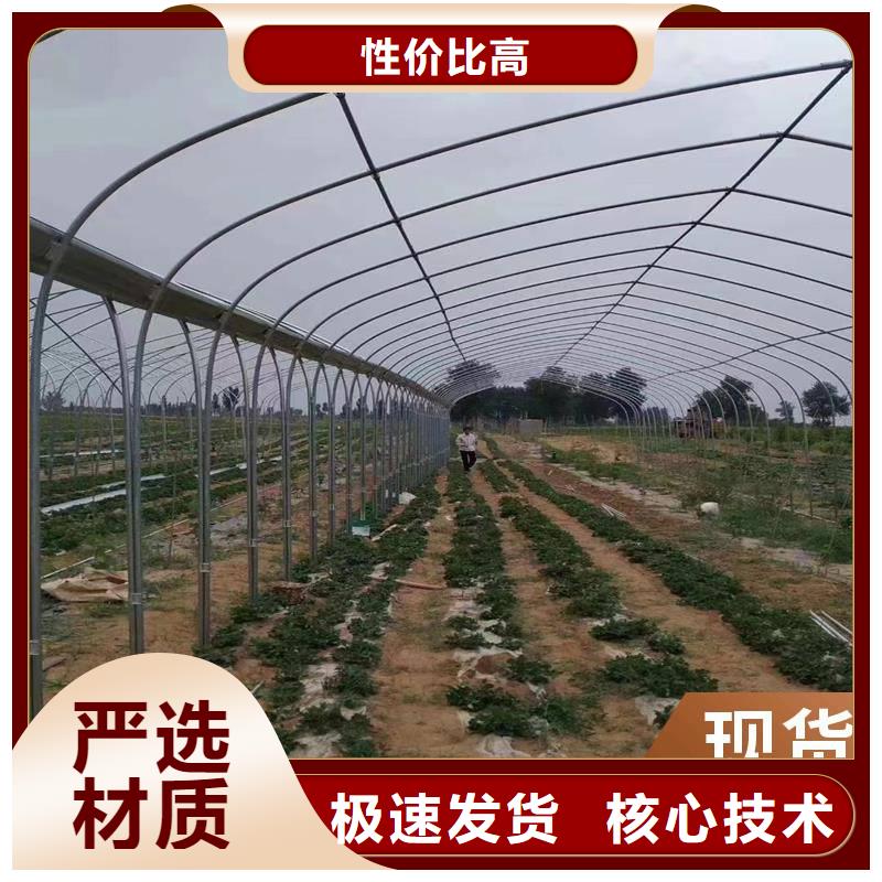 草莓大棚的跨度幾米生產(chǎn)基地
