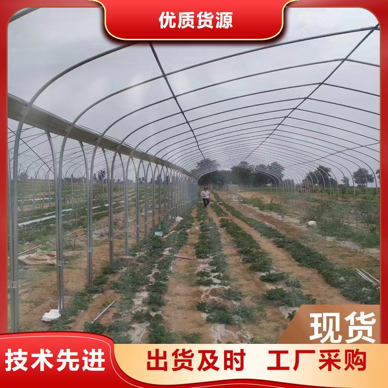 縣蔬菜大棚廠實力老廠