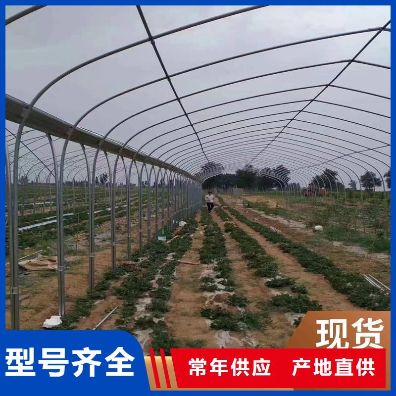 縣養(yǎng)殖大棚黑白膜質(zhì)量可靠