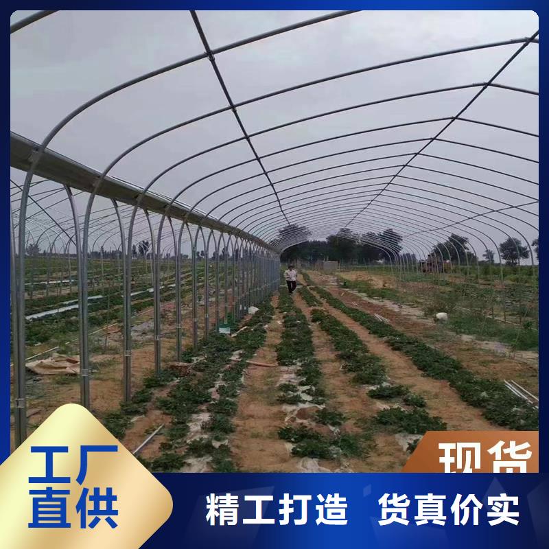 縣溫室大棚多少錢一平方靠譜廠家