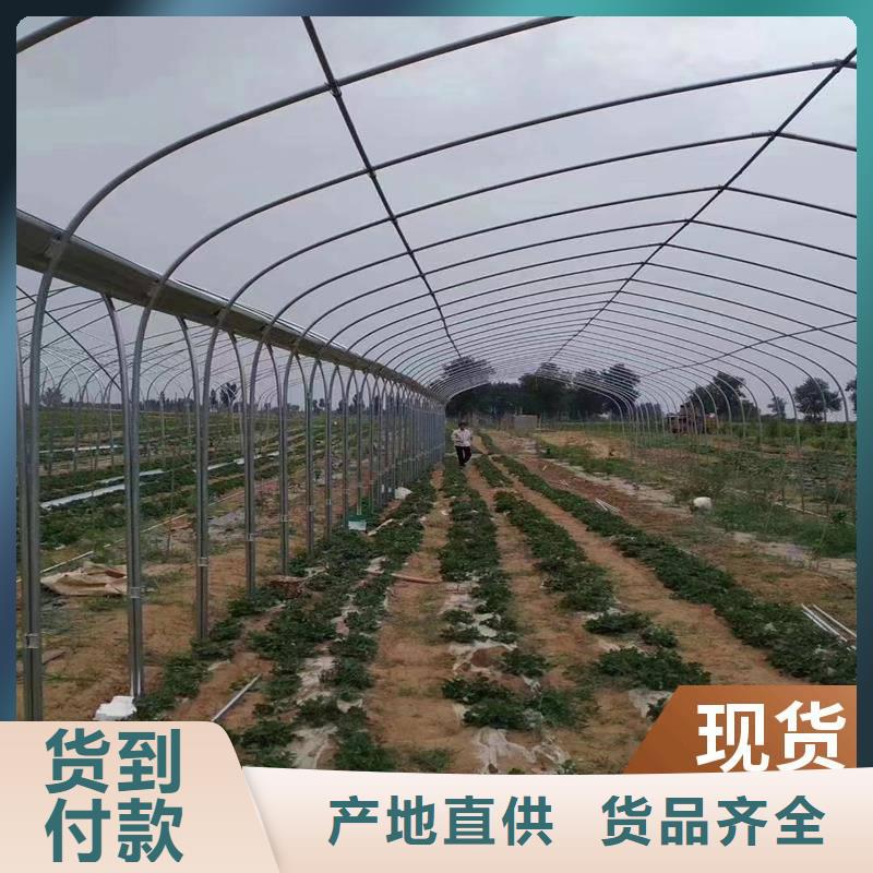 養(yǎng)殖大棚橢圓管品質(zhì)保證