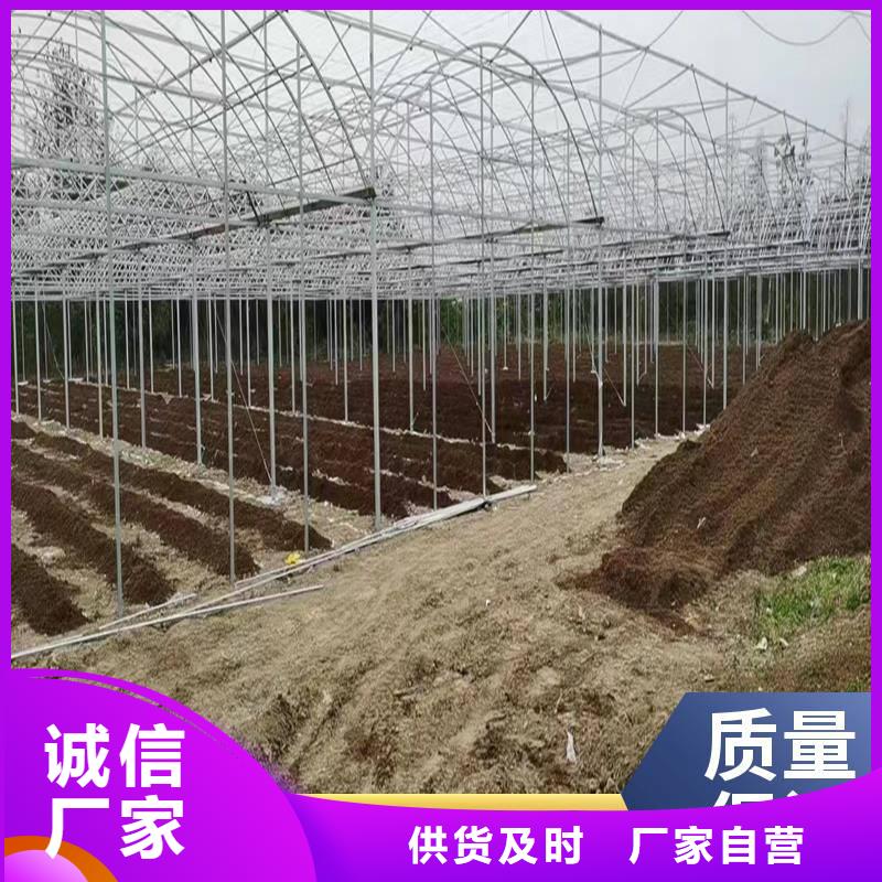 通風(fēng)天窗廠家價(jià)格