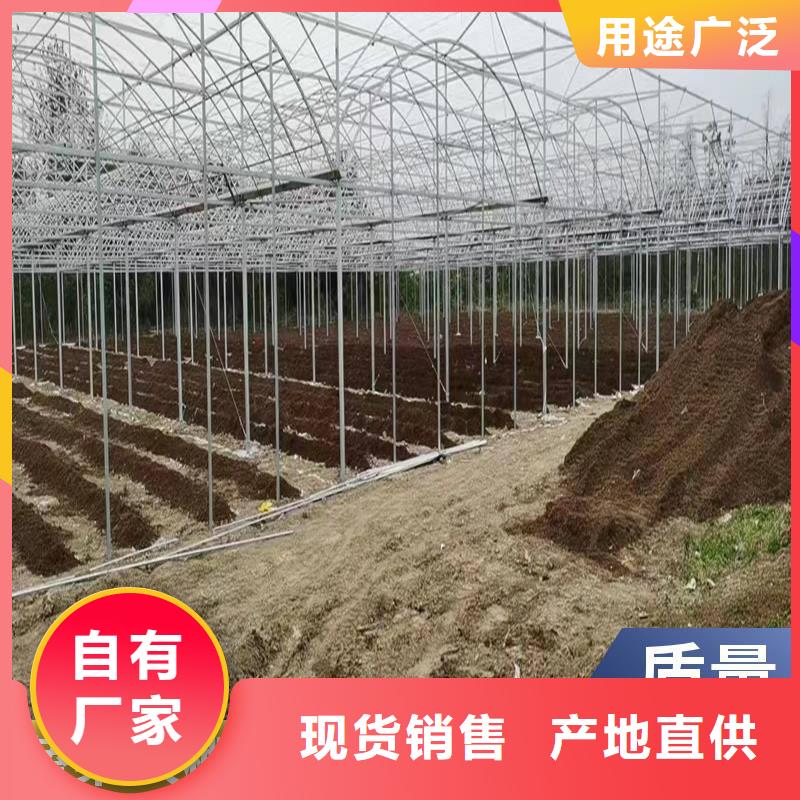 養(yǎng)殖大棚橢圓管品質(zhì)保證