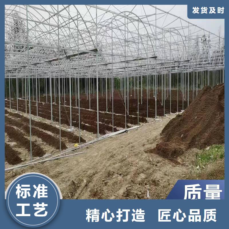 縣蔬菜大棚廠實力老廠