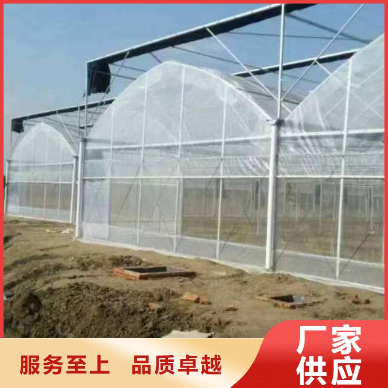 縣通風氣樓天窗圖片質(zhì)保一年