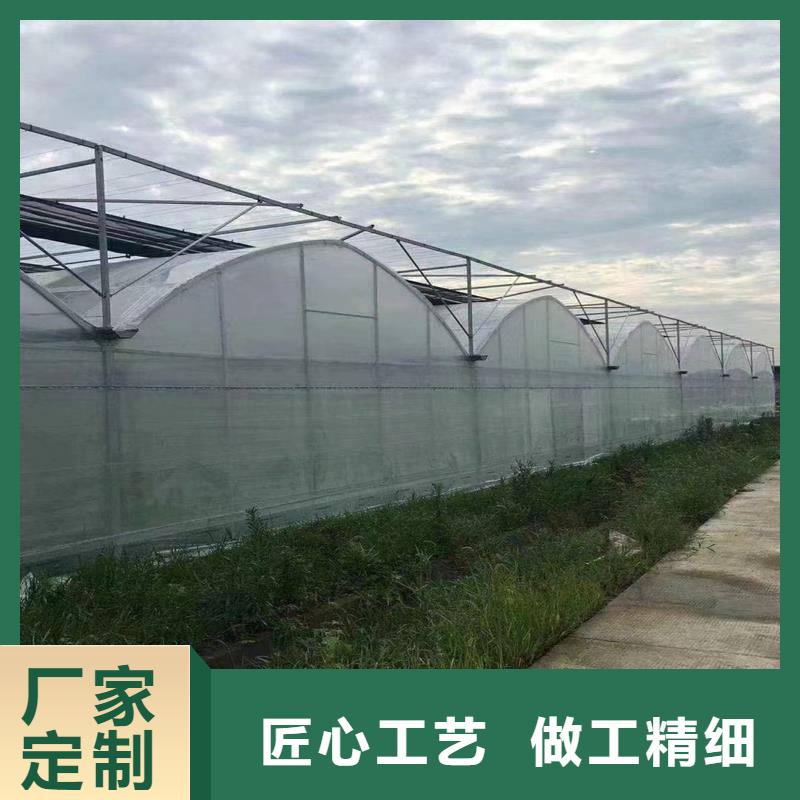 草莓大棚的跨度幾米生產(chǎn)基地