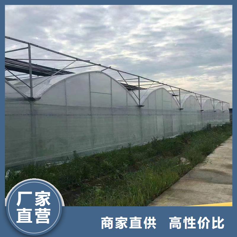 縣蔬菜大棚廠本地廠家