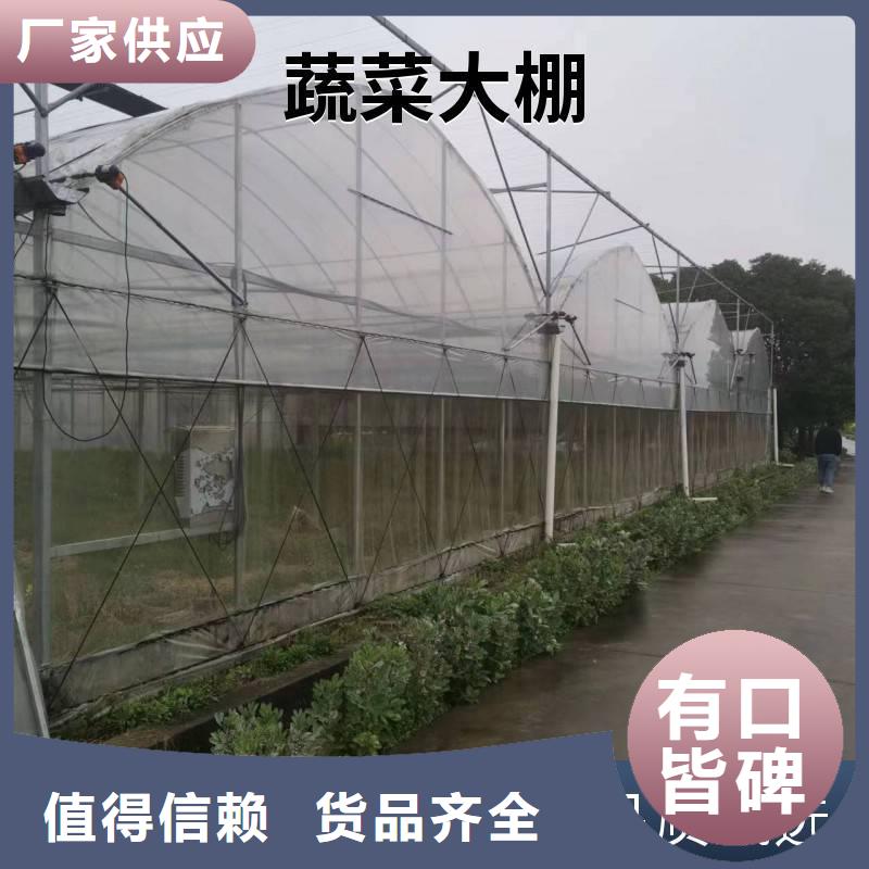縣蔬菜大棚廠實(shí)力老廠