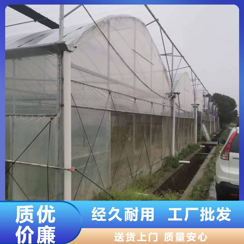縣蔬菜大棚廠實(shí)力老廠