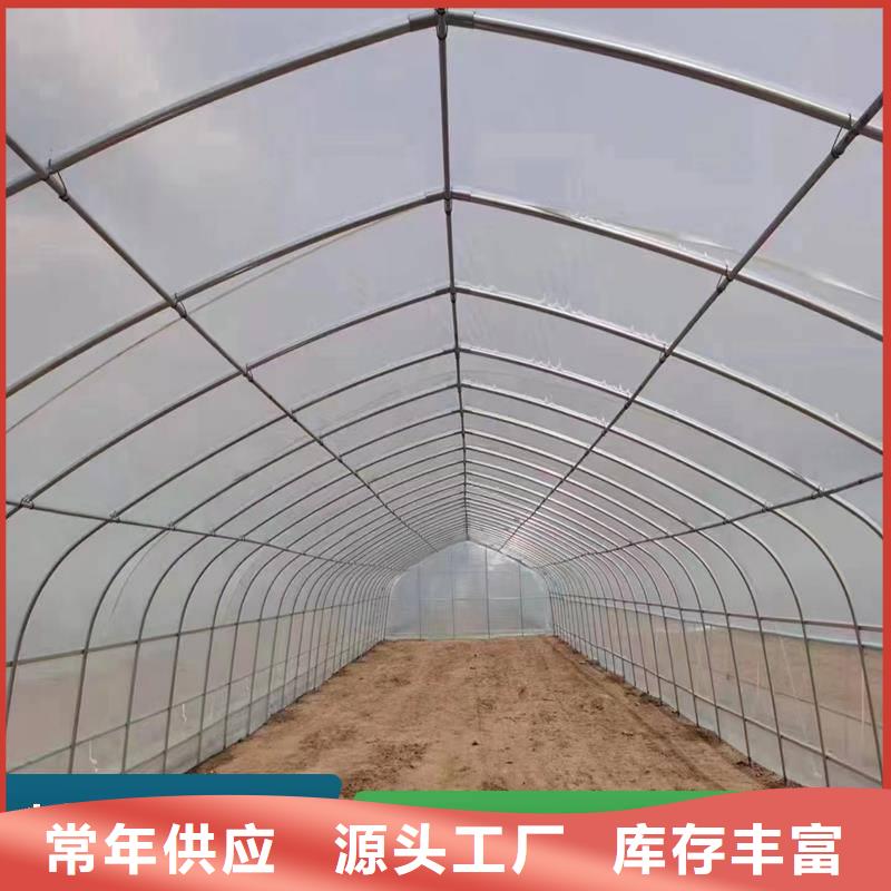 貞豐縣大棚精品薄膜采購(gòu)價(jià)格2025--境內(nèi)派發(fā)