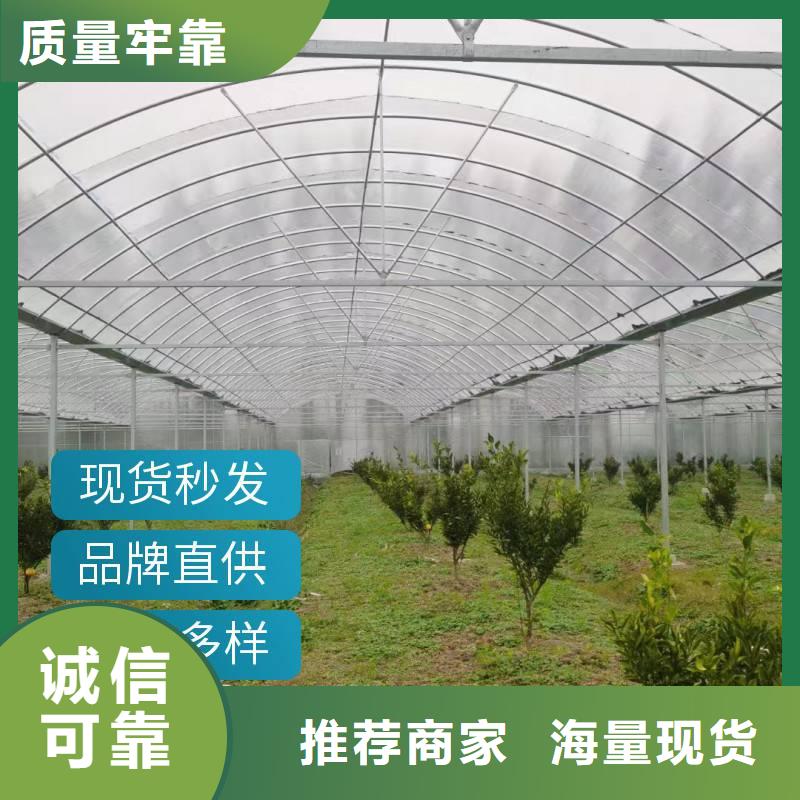 縣養(yǎng)殖大棚黑白膜質(zhì)量可靠