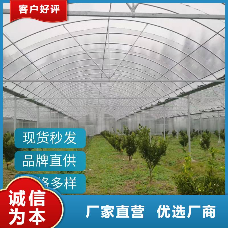 通風(fēng)天窗廠家價(jià)格