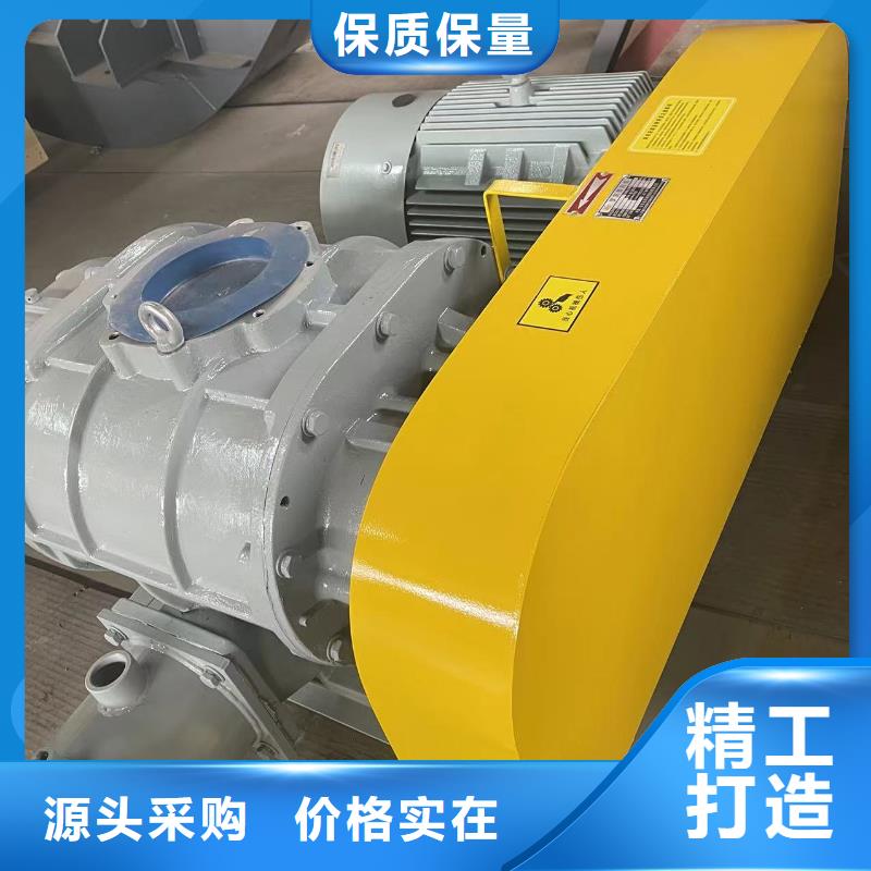 2025三叶罗茨鼓风机LFSR200