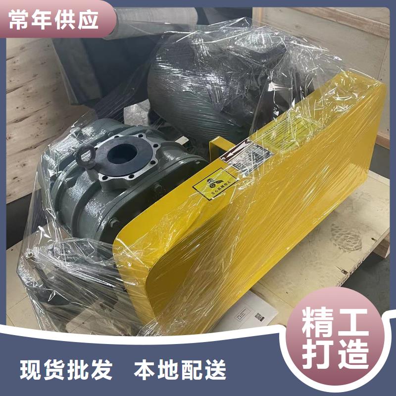 質(zhì)量好羅茨鼓風(fēng)機(jī)LFSR250