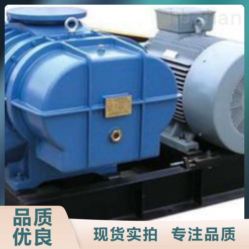 每日洗煤專(zhuān)用羅茨風(fēng)機(jī)LFSR125