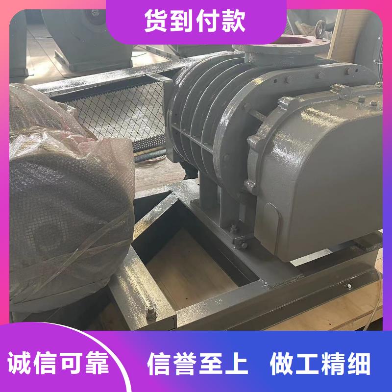 質(zhì)量好羅茨鼓風(fēng)機(jī)LFSR250