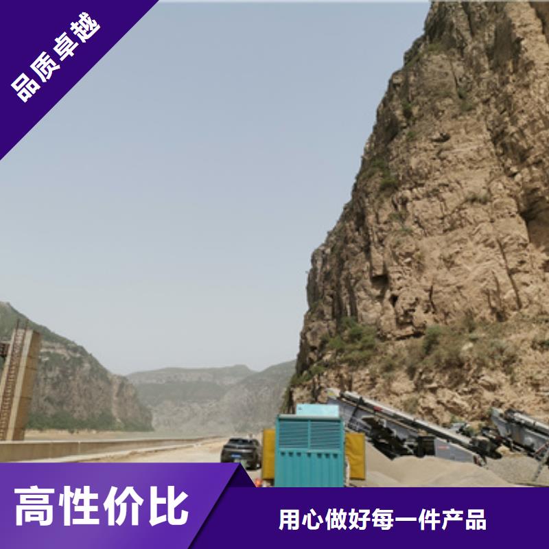 低壓發(fā)電機_保障