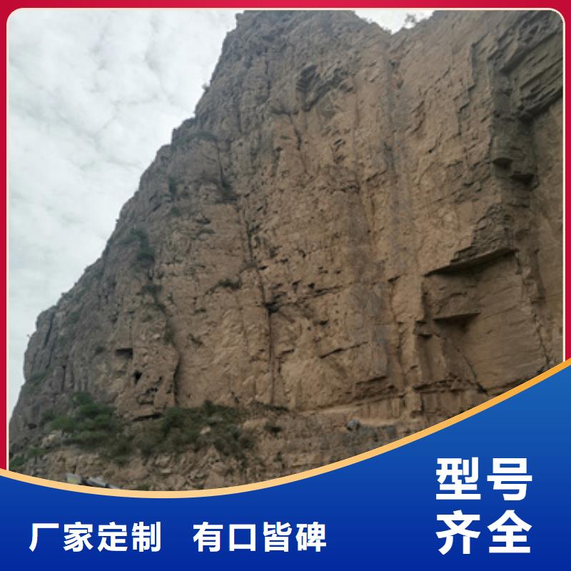 可定制的高压发电机车变压器租赁供货商