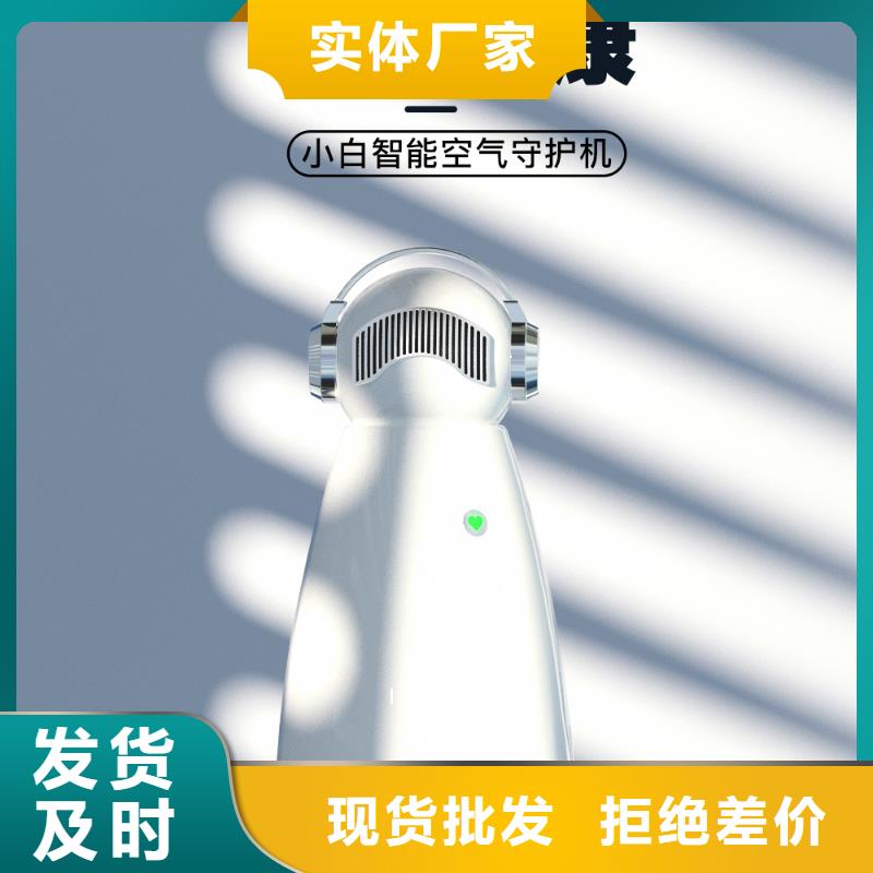 空气净化器销售小白祛味王口碑好实力强