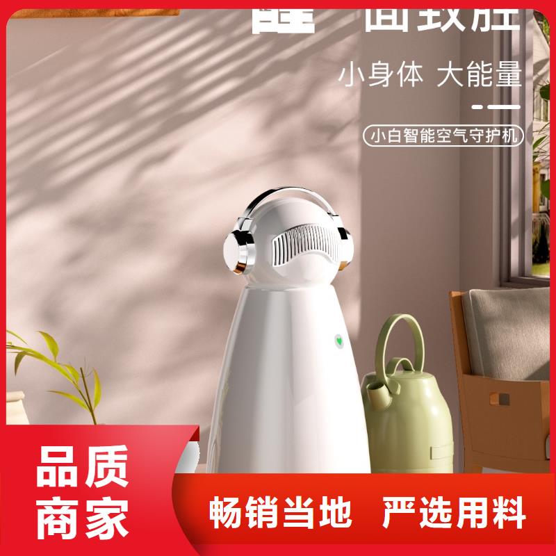 空氣凈化器小白祛味王供應現(xiàn)貨銷售