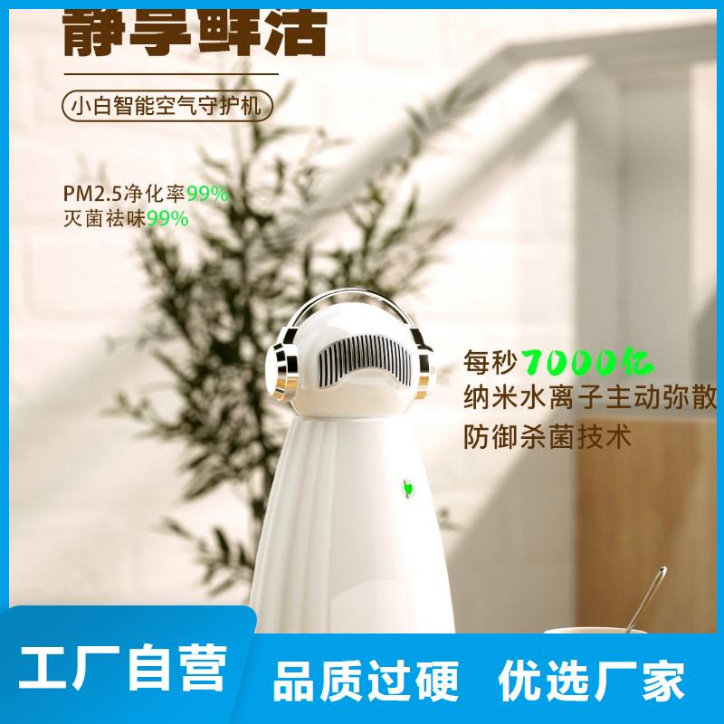 空氣凈化器小白祛味王供應(yīng)現(xiàn)貨銷售