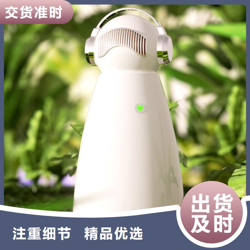 空氣凈化器銷售小白祛味王實力廠商